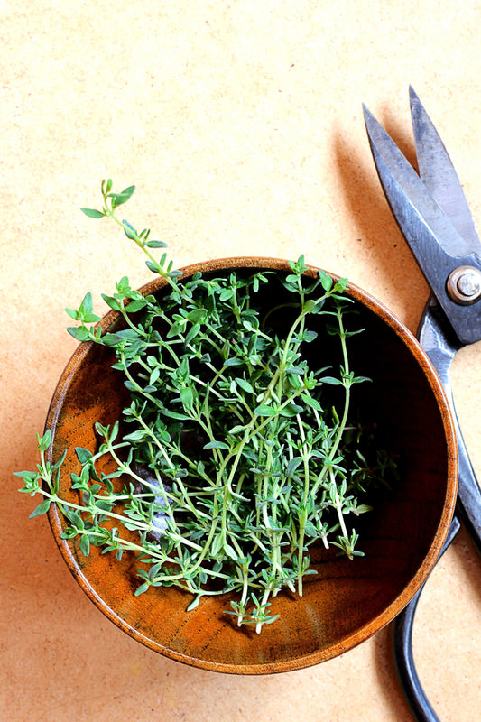 How to Reduce Bloating Fast (Without Pills or Supplements)