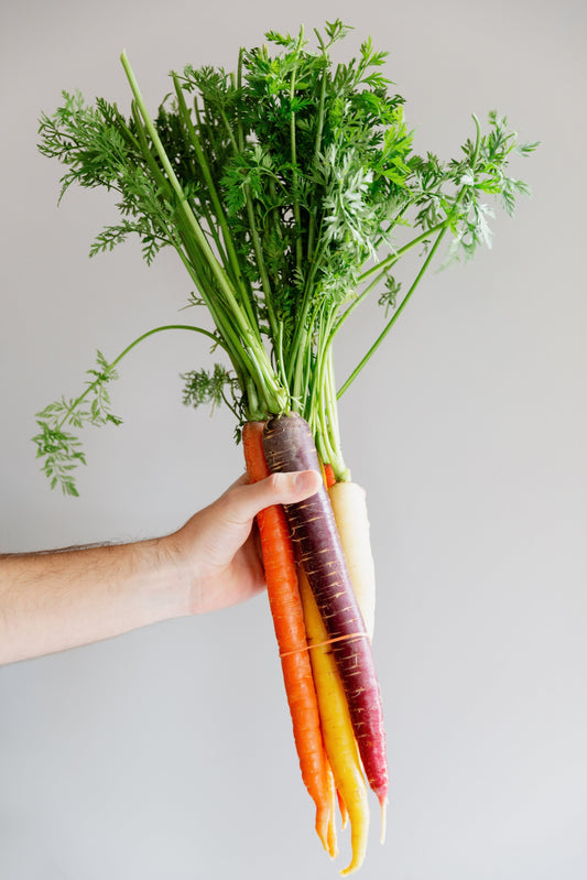 Top 7 Everyday Foods That Help You Heal Naturally